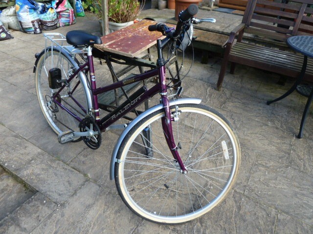 raleigh pioneer jaguar 18 dual sis